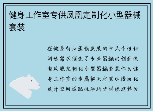 健身工作室专供凤凰定制化小型器械套装